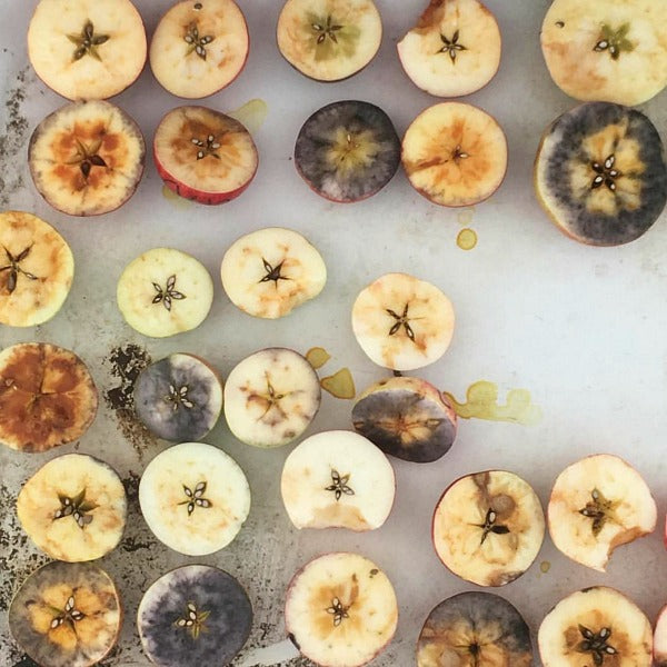 SEASONAL New York State Cideries to Visit this Fall New York Makers