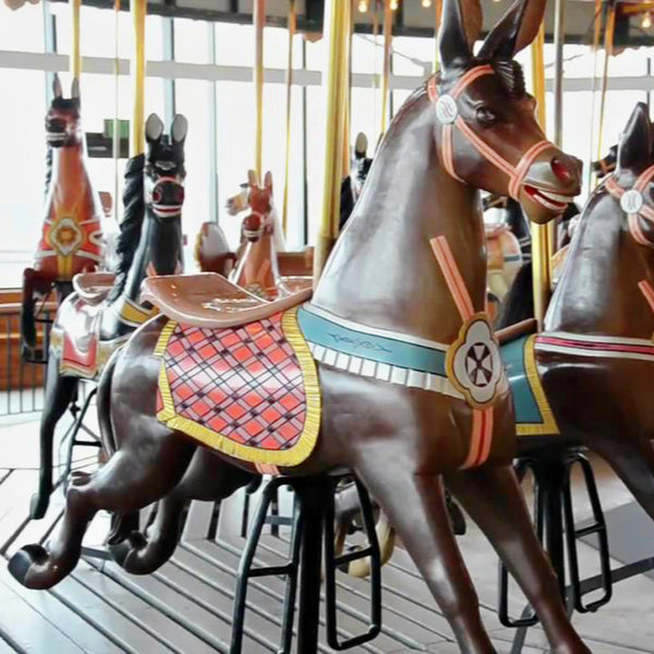 VIBRANT | When's the Last Time You’ve Seen — Really Seen — a Carousel?