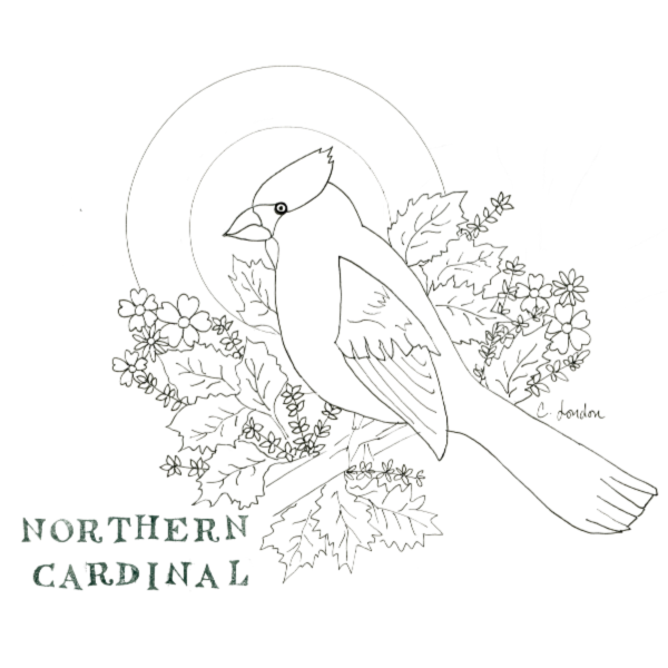 AWAKENING | Harlem Hill's Coloring Pages of Beautiful Birds to Download At Home
