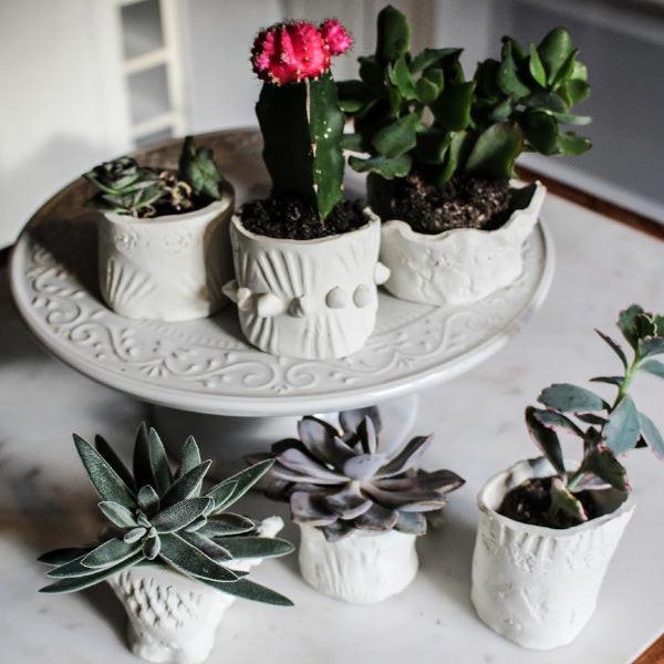 GROWING | Make Your Own Clay Planter