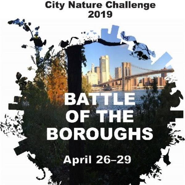 GROWING | City Nature Challenge 2019: Calling New York City’s Citizen Scientists