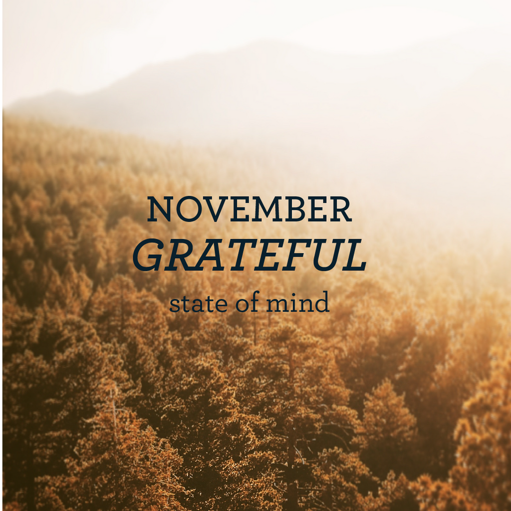 GRATEFUL | November 2017: New York "Grateful" State of Mind